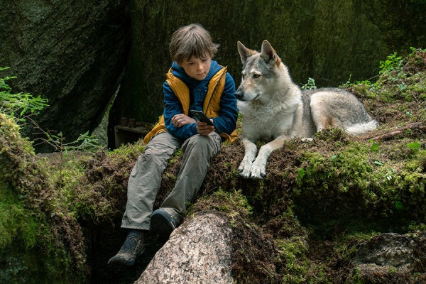 Bruno bei den Wölfen (DVD) – Bild 5– JETZT KAUFEN BEI GLACIER GAMES .at