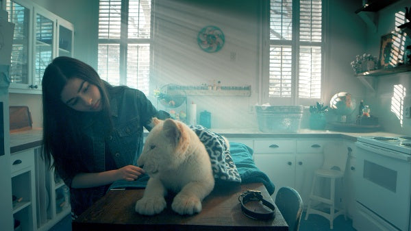 Lena & Snowball (DVD) – Bild 6– JETZT KAUFEN BEI GLACIER GAMES .at