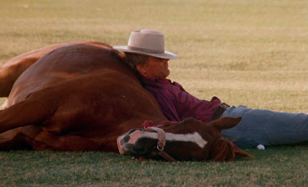 Renegade (DVD) – Bild 3– JETZT KAUFEN BEI GLACIER GAMES .at