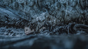 Breaking Surface - Tödliche Tiefe (Blu-ray) – Bild 6– JETZT KAUFEN BEI GLACIER GAMES .at