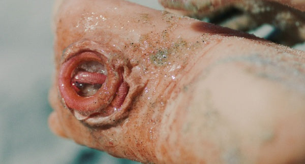 The Beach House (DVD) – Bild 3– JETZT KAUFEN BEI GLACIER GAMES .at