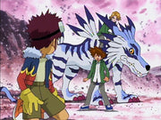 Digimon Adventure - Staffel 2.1 (Ep.1-17) ohne Schuber (3 DVDs) – Bild 2– JETZT KAUFEN BEI GLACIER GAMES .at