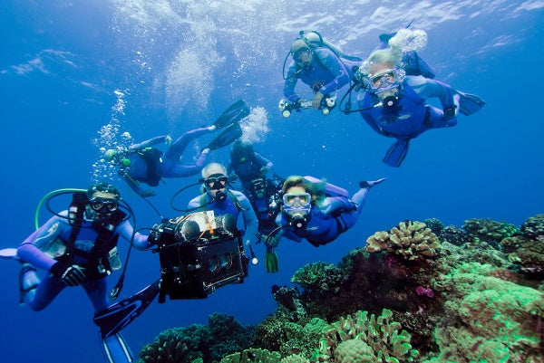 Wonders of the Sea (DVD) – Bild 5– JETZT KAUFEN BEI GLACIER GAMES .at