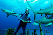 Wonders of the Sea (3D-Blu-ray+2D) – Bild 4– JETZT KAUFEN BEI GLACIER GAMES .at