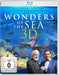 Wonders of the Sea (3D-Blu-ray+2D)– JETZT KAUFEN BEI GLACIER GAMES .at