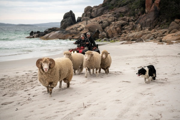 Besser wird's nicht (DVD) – Bild 6– JETZT KAUFEN BEI GLACIER GAMES .at