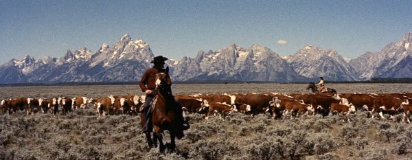 Der Mann ohne Furcht (Jubal) (Blu-ray) – Bild 3– JETZT KAUFEN BEI GLACIER GAMES .at