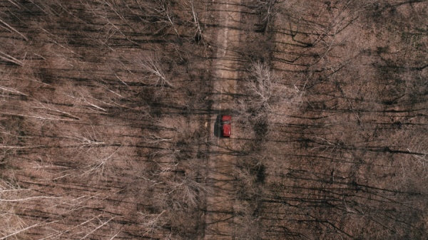 Hunter's Creek (Blu-ray) – Bild 5– JETZT KAUFEN BEI GLACIER GAMES .at