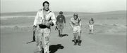 Taxi nach Tobruk (DVD) – Bild 5– JETZT KAUFEN BEI GLACIER GAMES .at