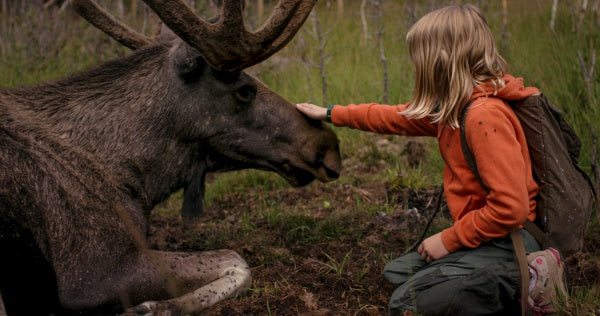 Tottori - Kopfüber ins Abenteuer (DVD) – Bild 6– JETZT KAUFEN BEI GLACIER GAMES .at