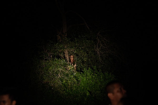 The Medium (Blu-ray) – Bild 2– JETZT KAUFEN BEI GLACIER GAMES .at