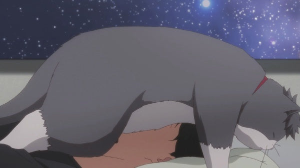 Tada Never Falls in Love Vol. 1 (Ep.1-4) im Sammelschuber (DVD) – Bild 2– JETZT KAUFEN BEI GLACIER GAMES .at