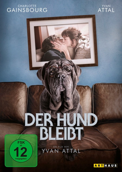 Der Hund bleibt (DVD)– JETZT KAUFEN BEI GLACIER GAMES .at