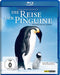 Die Reise der Pinguine (Blu-ray)– JETZT KAUFEN BEI GLACIER GAMES .at