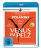 Venus im Pelz (Blu-ray)– JETZT KAUFEN BEI GLACIER GAMES .at