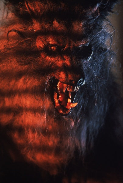 The Howling - Das Tier (4K Ultra HD+Blu-ray) – Bild 2– JETZT KAUFEN BEI GLACIER GAMES .at