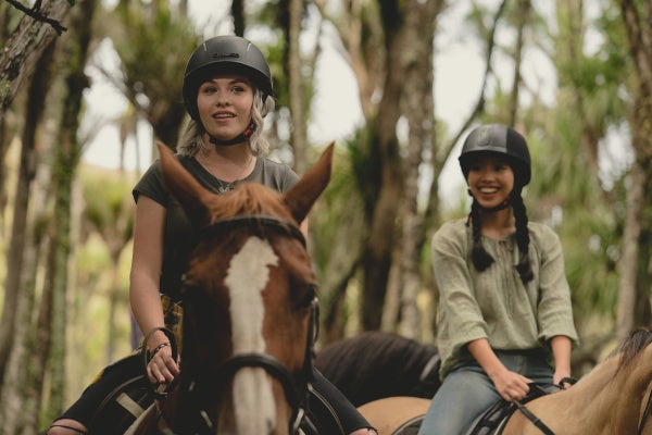 Mystic - Das Geheimnis von Kauri Point - Staffel 1 - Episoden 1-13 (3 DVDs) – Bild 3– JETZT KAUFEN BEI GLACIER GAMES .at