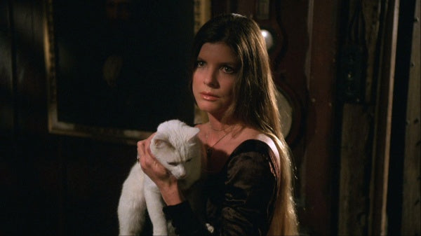 Das Haus des Satans - The Legacy (Mediabook B, Blu-ray+DVD) – Bild 4– JETZT KAUFEN BEI GLACIER GAMES .at