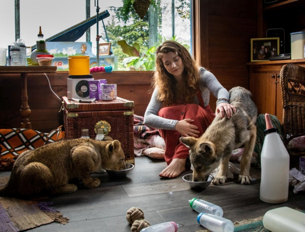 Der Wolf und der Löwe (DVD) – Bild 6– JETZT KAUFEN BEI GLACIER GAMES .at