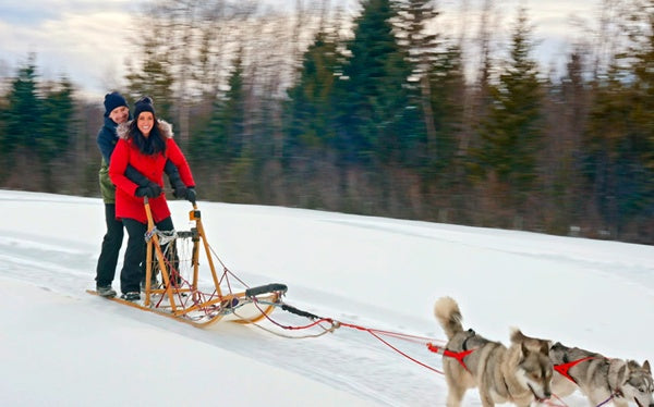 Eine Weihnachtsgeschichte aus dem Norden (DVD) – Bild 3– JETZT KAUFEN BEI GLACIER GAMES .at