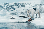 Drei Haselnüsse für Aschenbrödel (DVD) – Bild 2– JETZT KAUFEN BEI GLACIER GAMES .at
