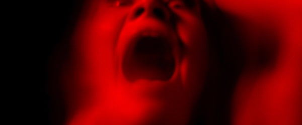 The Seed (DVD) – Bild 6– JETZT KAUFEN BEI GLACIER GAMES .at