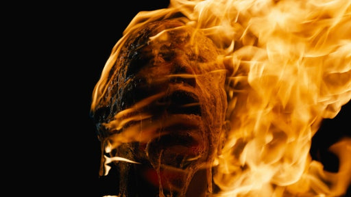 The Seed (Blu-ray) – Bild 2– JETZT KAUFEN BEI GLACIER GAMES .at