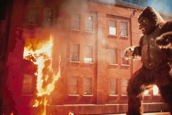 King Kong - Special Edition - Digital Remastered (DVD) – Bild 3– JETZT KAUFEN BEI GLACIER GAMES .at