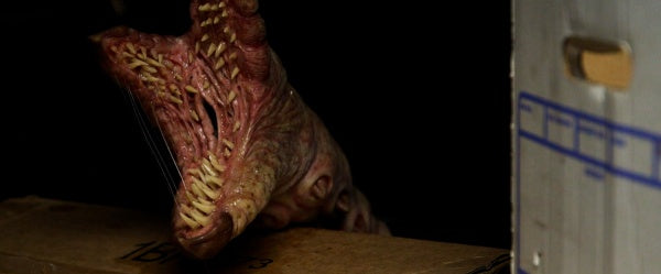 Crawlers - Angriff der Killerwürmer (DVD) – Bild 5– JETZT KAUFEN BEI GLACIER GAMES .at