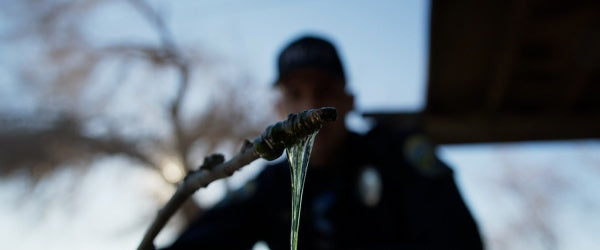 Crawlers - Angriff der Killerwürmer (DVD) – Bild 2– JETZT KAUFEN BEI GLACIER GAMES .at