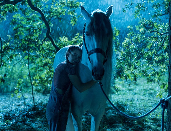 Silverstar - Eine Freundschaft für die Ewigkeit (DVD) – Bild 3– JETZT KAUFEN BEI GLACIER GAMES .at