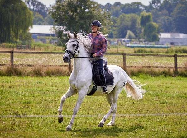 Silverstar - Eine Freundschaft für die Ewigkeit (DVD) – Bild 5– JETZT KAUFEN BEI GLACIER GAMES .at