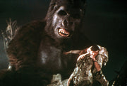 King Kong - Special Edition (4K Ultra HD+Blu-ray) – Bild 5– JETZT KAUFEN BEI GLACIER GAMES .at