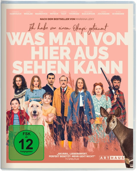 Was man von hier aus sehen kann (Blu-ray)– JETZT KAUFEN BEI GLACIER GAMES .at
