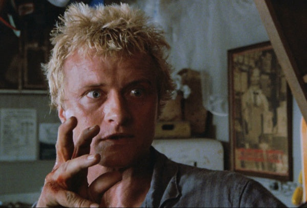 Die Brut des Adlers (DVD) – Bild 5– JETZT KAUFEN BEI GLACIER GAMES .at