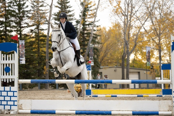 Heartland - Paradies für Pferde, Staffel 14 (4 DVDs) – Bild 3– JETZT KAUFEN BEI GLACIER GAMES .at