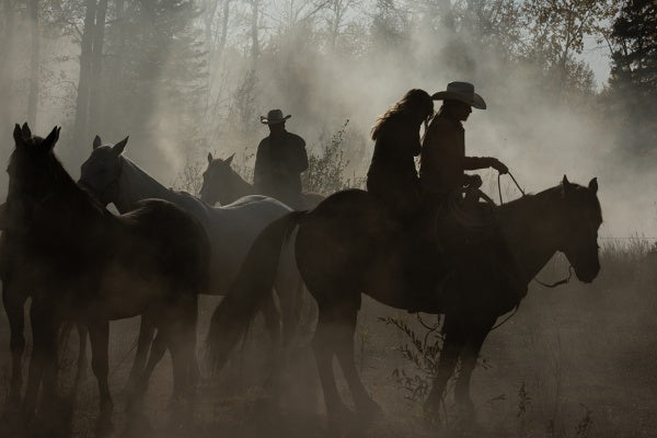 Heartland - Paradies für Pferde, Staffel 14 (4 DVDs) – Bild 2– JETZT KAUFEN BEI GLACIER GAMES .at