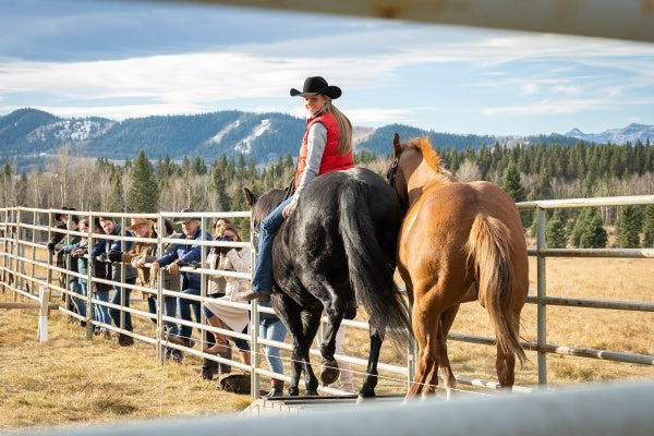 Heartland - Paradies für Pferde, Staffel 14 (4 DVDs) – Bild 4– JETZT KAUFEN BEI GLACIER GAMES .at