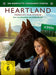 Heartland - Paradies für Pferde, Staffel 14 (4 DVDs)– JETZT KAUFEN BEI GLACIER GAMES .at