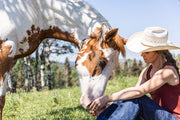 Heartland - Paradies für Pferde, Staffel 15 (4 DVDs) – Bild 2– JETZT KAUFEN BEI GLACIER GAMES .at
