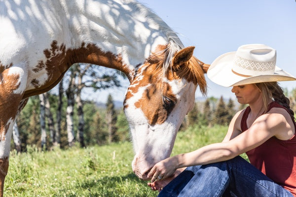 Heartland - Paradies für Pferde, Staffel 15 (4 DVDs) – Bild 2– JETZT KAUFEN BEI GLACIER GAMES .at