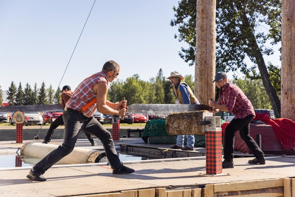 Heartland - Paradies für Pferde, Staffel 15 (4 DVDs) – Bild 5– JETZT KAUFEN BEI GLACIER GAMES .at