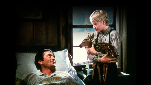 Die Wildnis ruft (Mediabook, Blu-ray+DVD) – Bild 4– JETZT KAUFEN BEI GLACIER GAMES .at