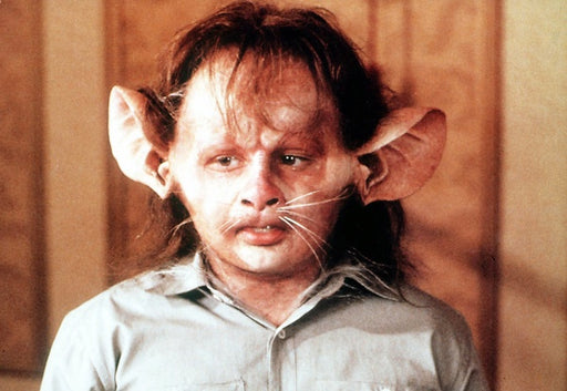 Hexen hexen (Mediabook, Blu-ray+DVD) – Bild 2– JETZT KAUFEN BEI GLACIER GAMES .at