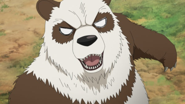 Boruto: Naruto Next Generations - Volume 13 (Ep. 221-232) (3 DVDs) – Bild 6– JETZT KAUFEN BEI GLACIER GAMES .at