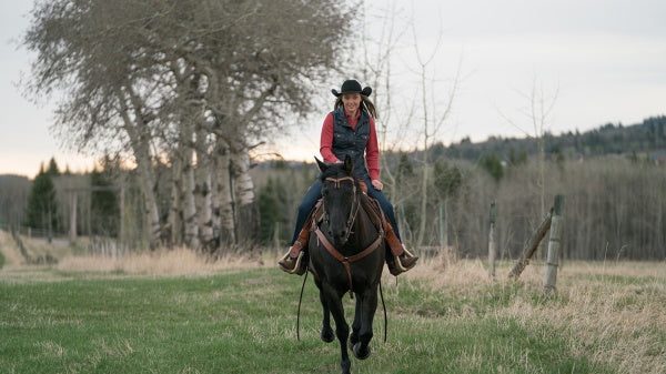 Heartland - Paradies für Pferde, Staffel 11 (Neuauflage) (6 DVDs) – Bild 4– JETZT KAUFEN BEI GLACIER GAMES .at