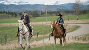 Heartland - Paradies für Pferde, Staffel 11 (Neuauflage) (6 DVDs) – Bild 2– JETZT KAUFEN BEI GLACIER GAMES .at