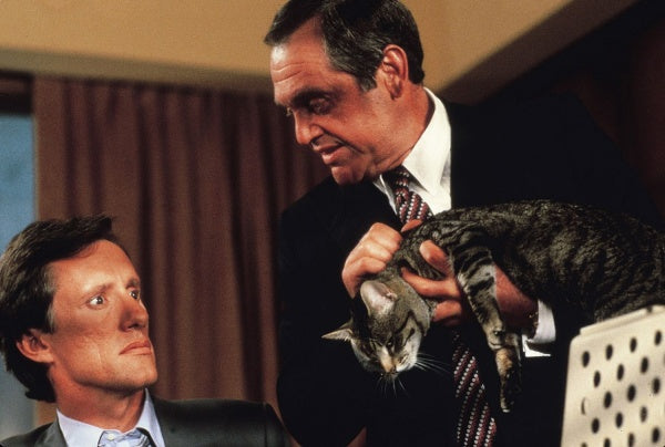 Stephen Kings Katzenauge - Digital Remastered (DVD) – Bild 4– JETZT KAUFEN BEI GLACIER GAMES .at