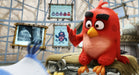 Angry Birds - Der Film (DVD) – Bild 2– JETZT KAUFEN BEI GLACIER GAMES .at