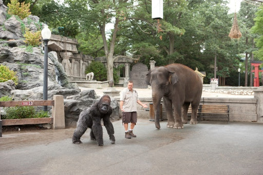 Der Zoowärter (DVD) – Bild 2– JETZT KAUFEN BEI GLACIER GAMES .at